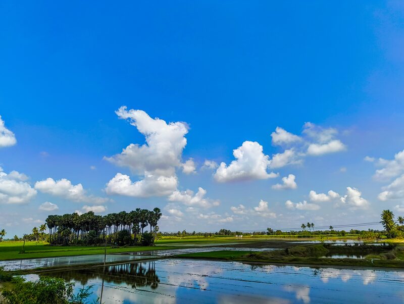 Flooded green paddy fields reflecting a blue sky full of clouds