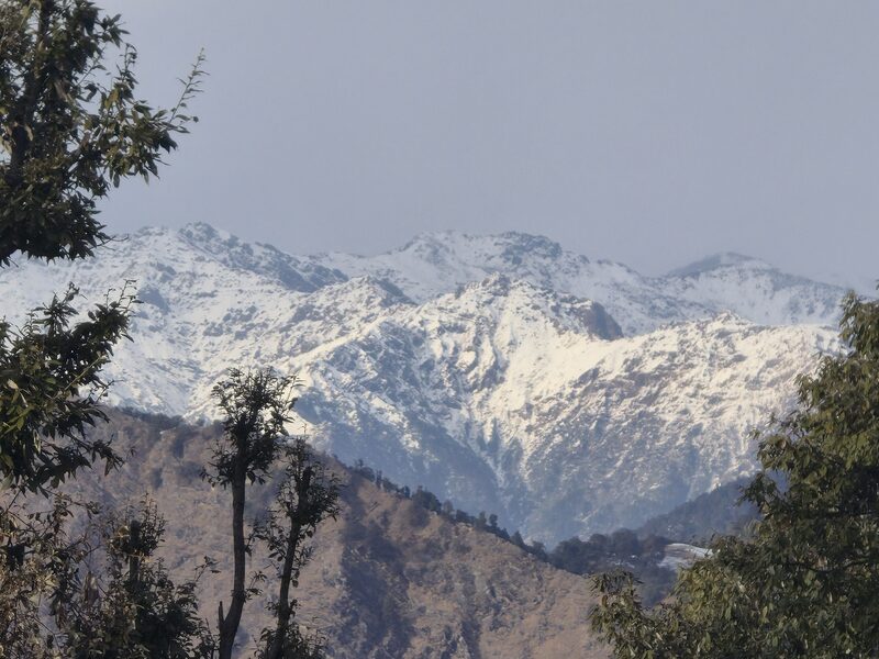 Snow-capped mountain range rising behind forested foothills